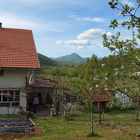 Oaza Deli Kulen Vakuf